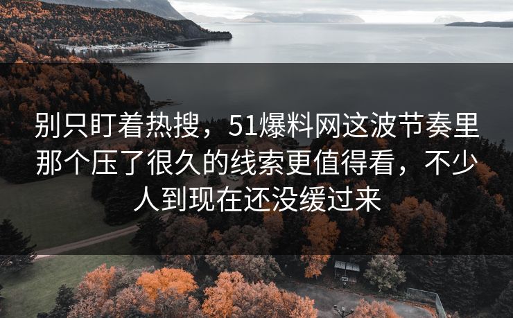别只盯着热搜，51爆料网这波节奏里那个压了很久的线索更值得看，不少人到现在还没缓过来