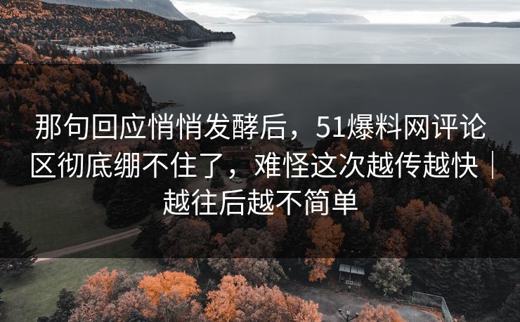 那句回应悄悄发酵后，51爆料网评论区彻底绷不住了，难怪这次越传越快｜越往后越不简单